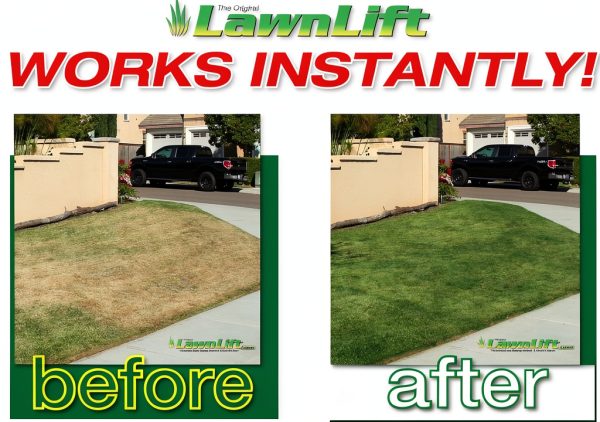 LawnLift Grass Painting Kit 1 Gallon Sprayer with 64oz Paint-0